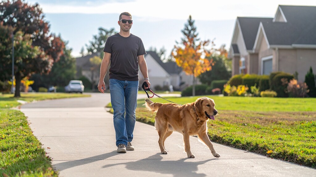 Man walking a dog in a neighborhood.