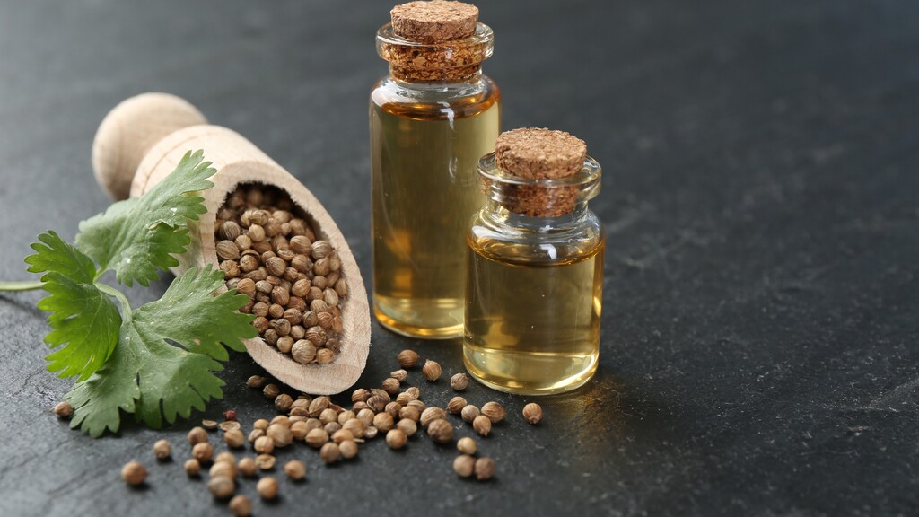 Close up of round, light brown coriander seeds in a small wooden measuring scoop