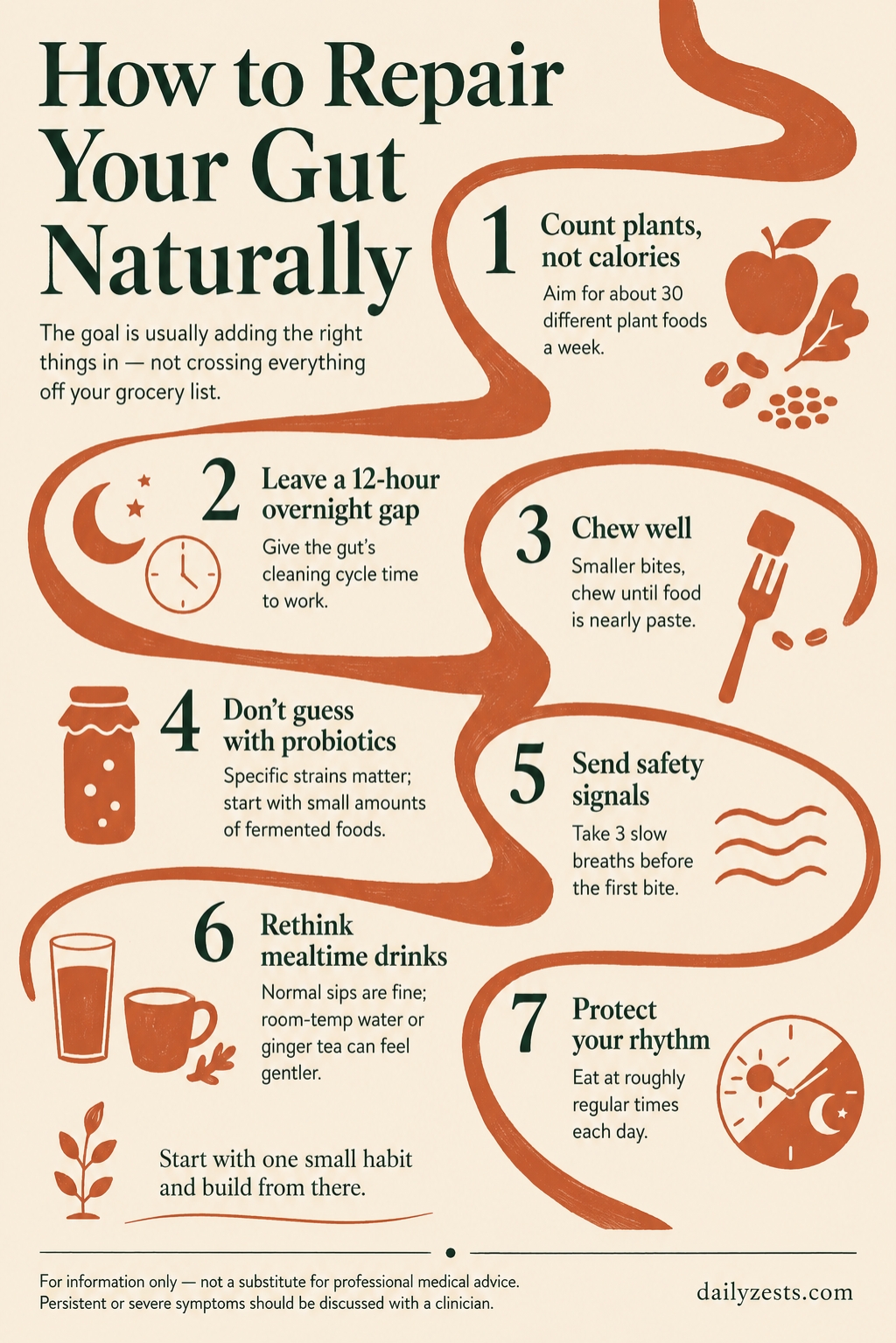 How to Repair Your Gut Naturally: 7 Steps That Actually Work - DailyZests