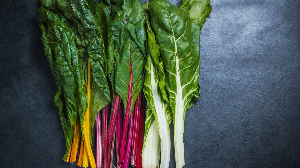 Colorful Swiss chard leaves with green, yellow, pink, and white stems on a dark surface.