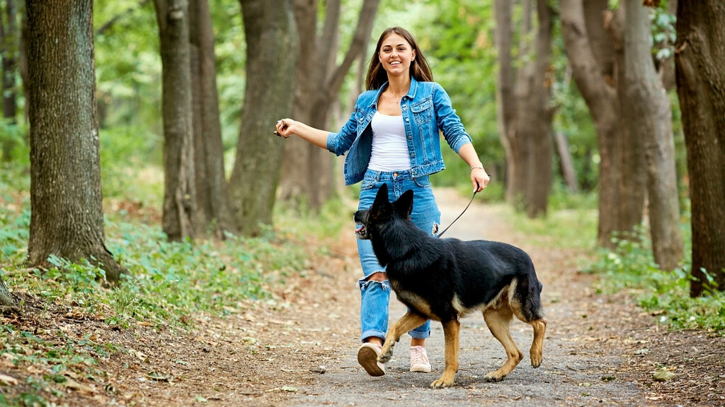 A woman walking her Golden Retriever on a peaceful, tree-lined nature trail in the morning light.