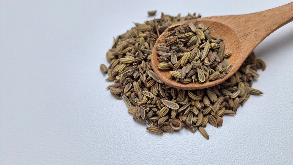 Fennel seeds piled on a white surface with a wooden spoon resting on top.