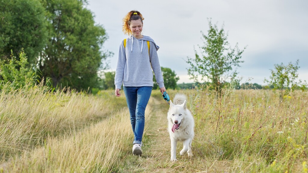 Woman walking a white dog through a grassy field.