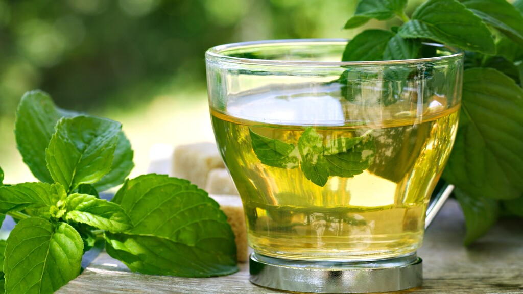 A glass cup of spearmint tea sits beside fresh mint leaves outdoors.