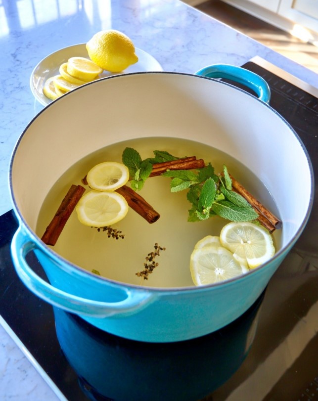 Warming Ginger Cinnamon Tea with Fresh Mint (2)